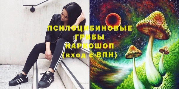 герыч Кодинск